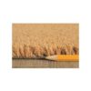 Paillasson tapis de sol porte d’entrée haute absorbation