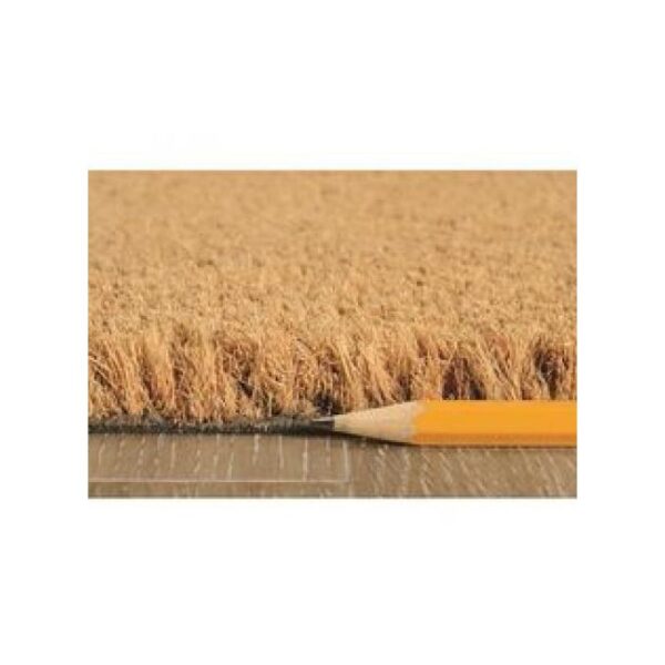 Paillasson tapis de sol porte d’entrée haute absorbation