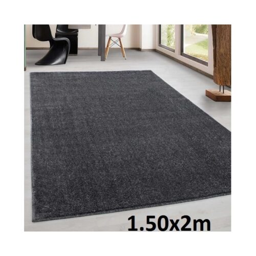 Tapis salon salle à manger chambre à coucher ras poile 1.50m* 2m