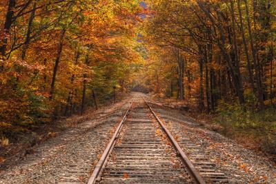 Autumn Tracks into Fall, Bartlett, New Hampshire - Photographic Print, 18x12