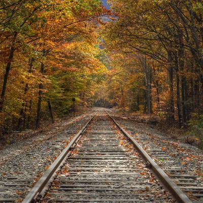 Autumn Tracks (Square), New Hampshire - Photographic Print, 16x16