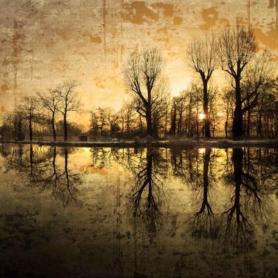 Down Deep into the Pain - Premium Photographic Print, 12x12 Down Deep into the Pain - Premium Photographic Print, 12x12