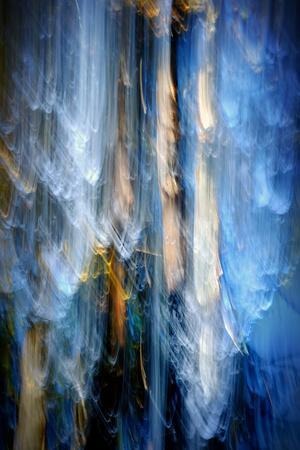 Evening Trees 1 - Photographic Print, 8x12