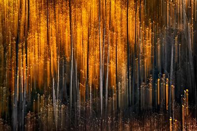 Falling Stars - Photographic Print, 12x8 Falling Stars - Photographic Print, 12x8