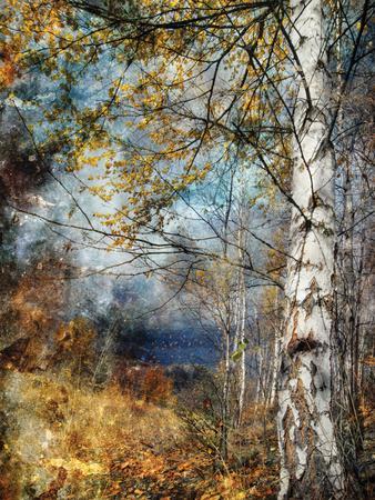 Kootenay Fall - Photographic Print, 12x16 Kootenay Fall - Photographic Print, 12x16
