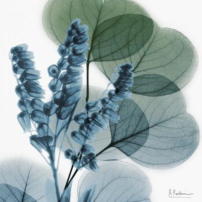 Lilly of Eucalyptus - Premium Giclee Print, 16x16