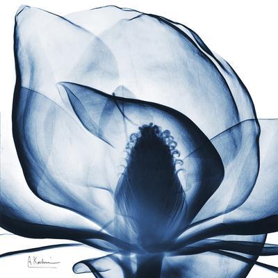 Magnolia Indigo - Wall Art Print, 16x16