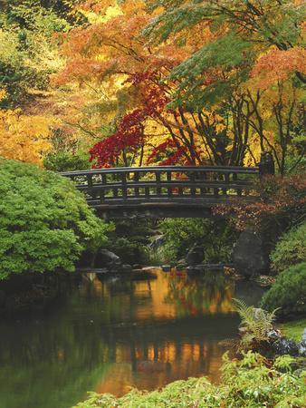 Moon Bridge in Autumn: Portland Japanese Garden, Portland, Oregon, USA - Photographic Print, 12x16