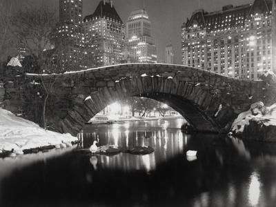 New York Pond in Winter - Photographic Print, 12x9