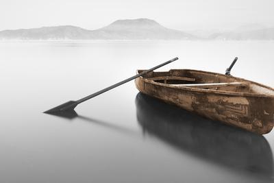 Ready 2-Brown - Photographic Print, 18x12