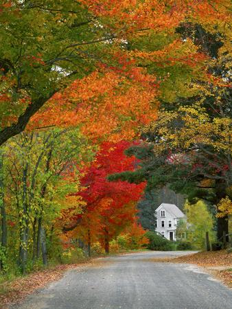 Road Lined in Fall Color, Andover, New England, New Hampshire, USA - Photographic Print, 12x16 Road Lined in Fall Color, Andover, New England, New Hampshire, USA - Photographic Print, 12x16