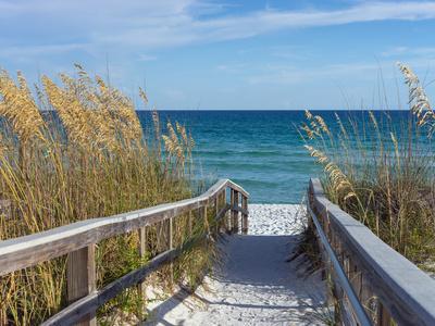 Sandy Boardwalk Path to a Snow White Beach on the Gulf of Mexico with Ripe Sea Oats in the Dunes - Photographic Print, 16x12 Sandy Boardwalk Path to a Snow White Beach on the Gulf of Mexico with Ripe Sea Oats in the Dunes - Photographic Print, 16x12