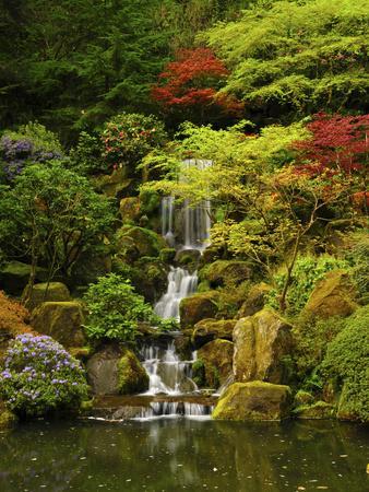 Spring, Portland Japanese Garden, Portland, Oregon, USA - Photographic Print, 12x16 Spring, Portland Japanese Garden, Portland, Oregon, USA - Photographic Print, 12x16