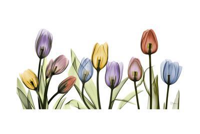 Tulipscape Portrait - Premium Giclee Print, 18x12